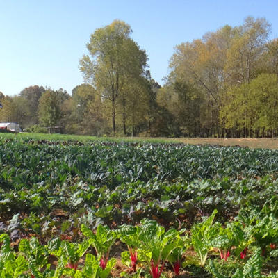 Matt Whitaker to Host Pruning Workshop at Crabtree Farms